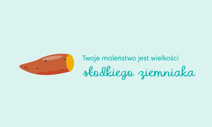 pieluchy wielorazowe zestaw dla niemowlaka