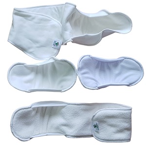 www pampers pants