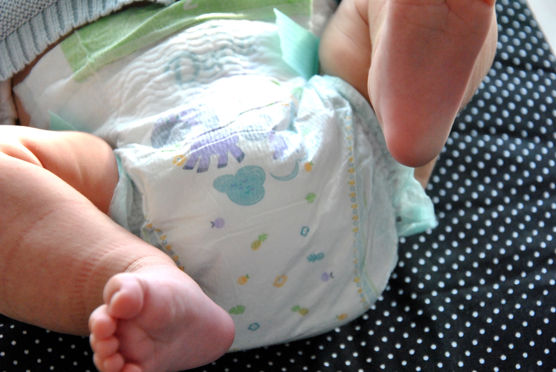 pampers oferta dla firm hurtownia