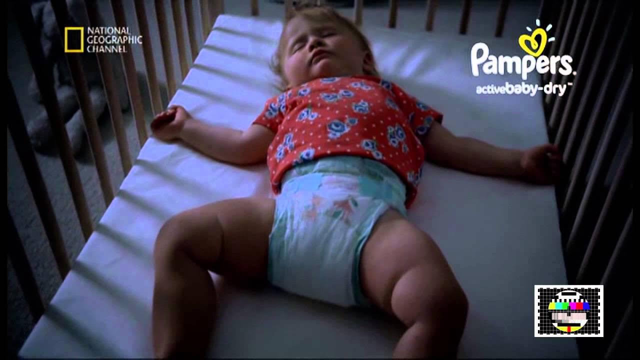 pampers próbki hurtownia