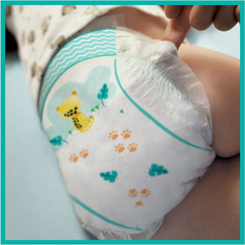 pampers active baby dry 6monthly pack ceneo