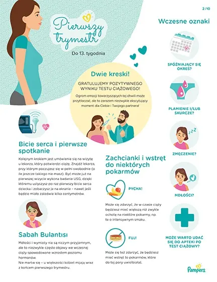 cena pampersów pampers 66 sztuk