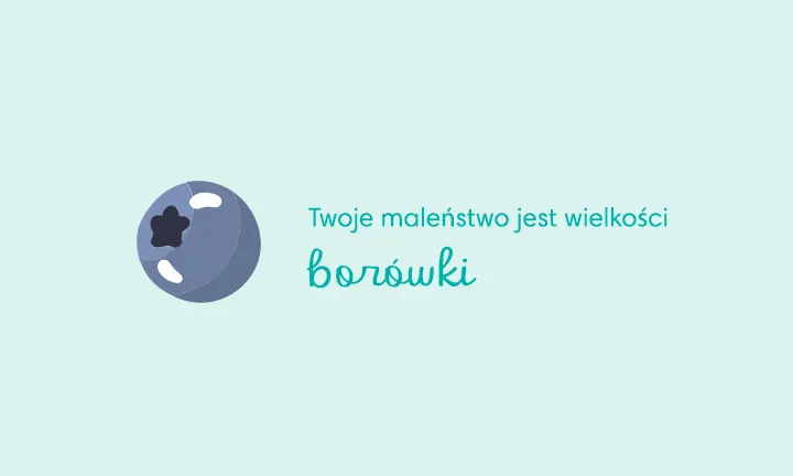 chusteczki nawilżane rbiodegradowalne