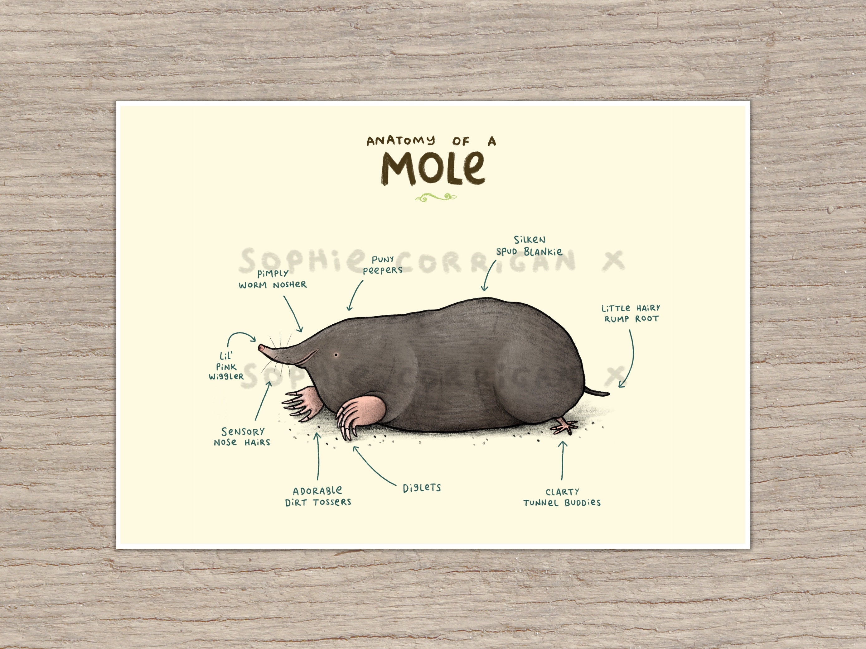 pieluchomajtki dla dorosłych seni medium sprzedam