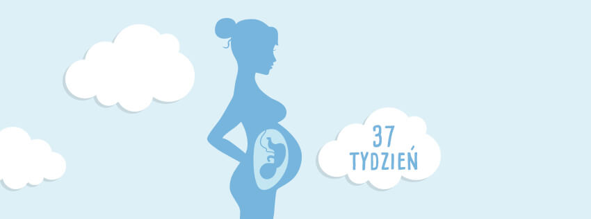 pampers newborn duże opakowanie