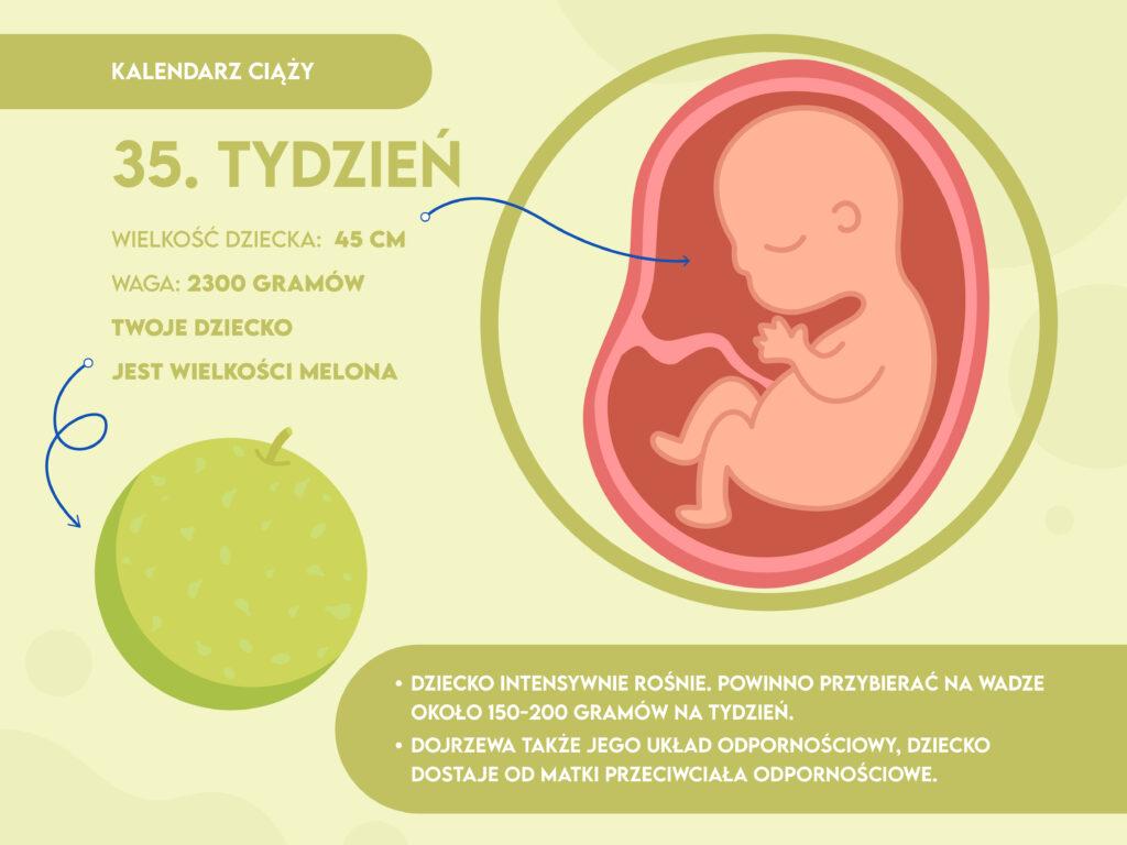 pampers premium care mega pack pieluszki jednorazowe 5 9 kg