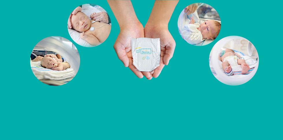 pampers baby dry 7