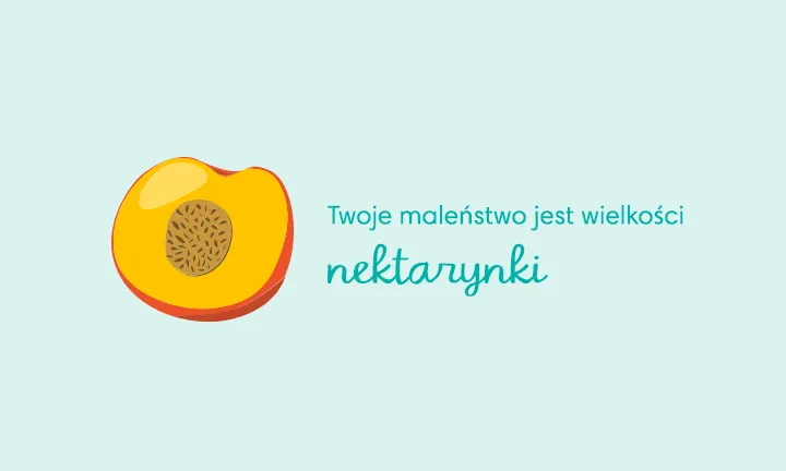 rozwój dziecka 10 tydzień pampers