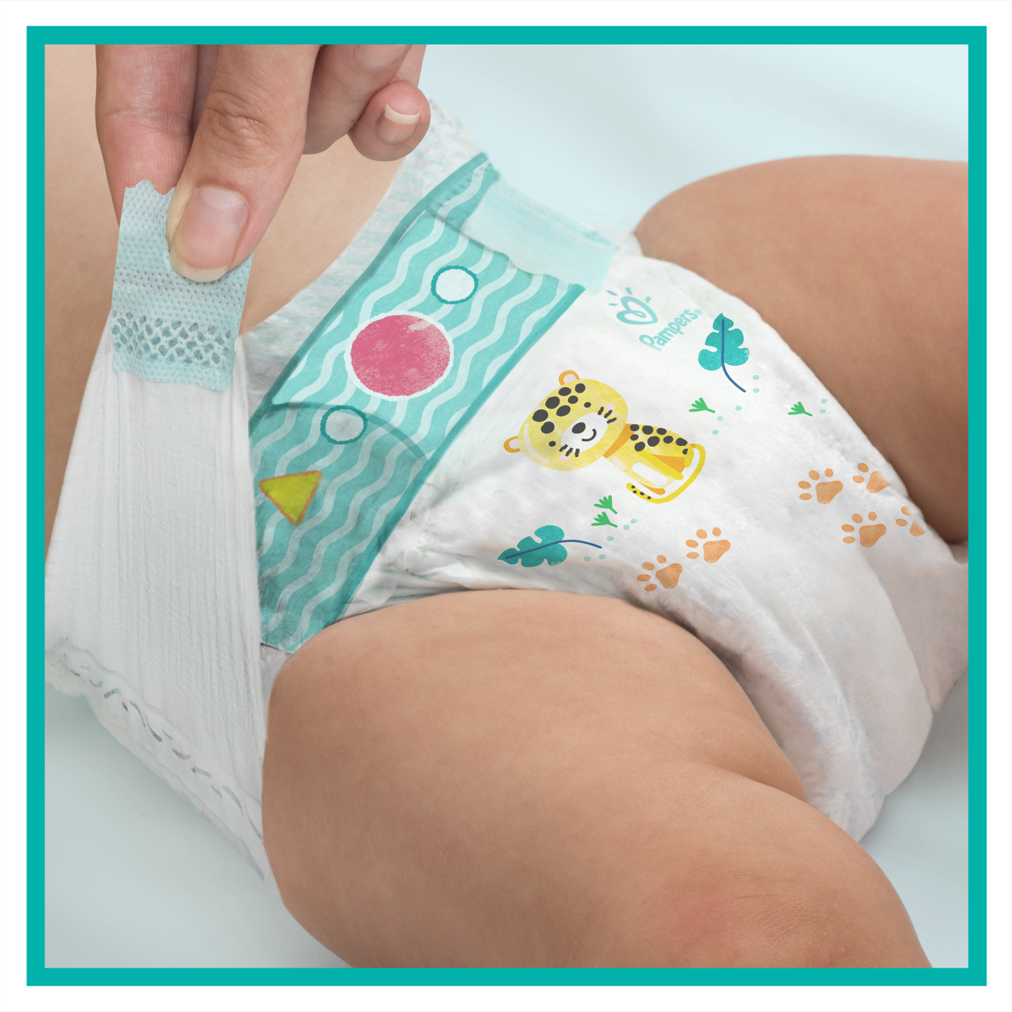 pampers baby dry rossmann